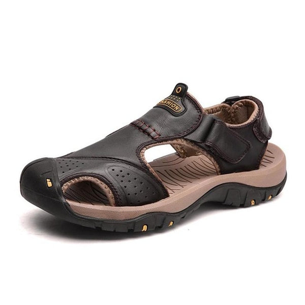 brown-2